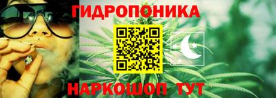 прущие крисы Мариинск