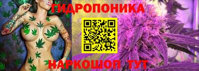 прущие крисы Мариинск